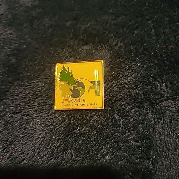 Acadia National Park I'm Maine Tac Pin - Picture 1 of 2